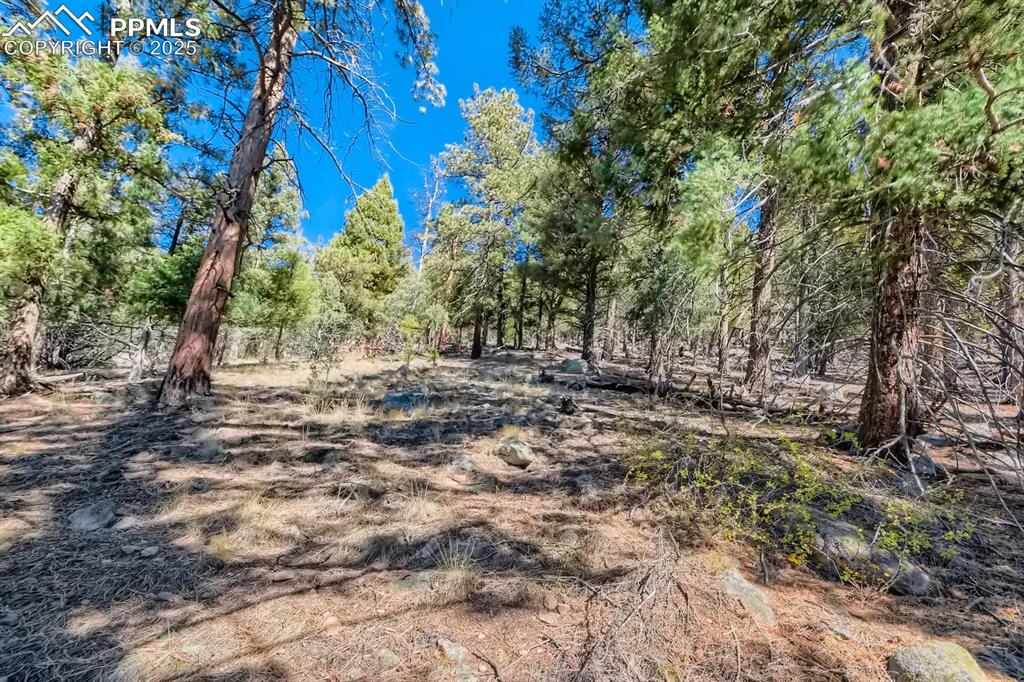 0 Elsie Road Conifer CO 80433