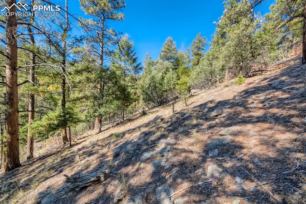 0 Elsie Road Conifer CO 80433