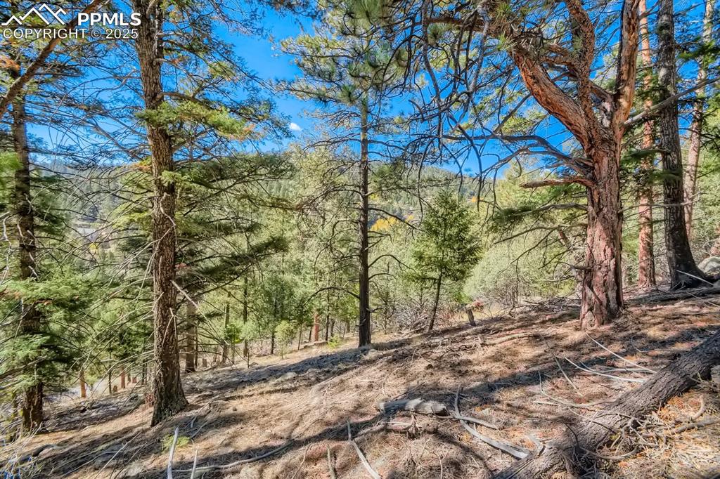 0 Elsie Road Conifer CO 80433