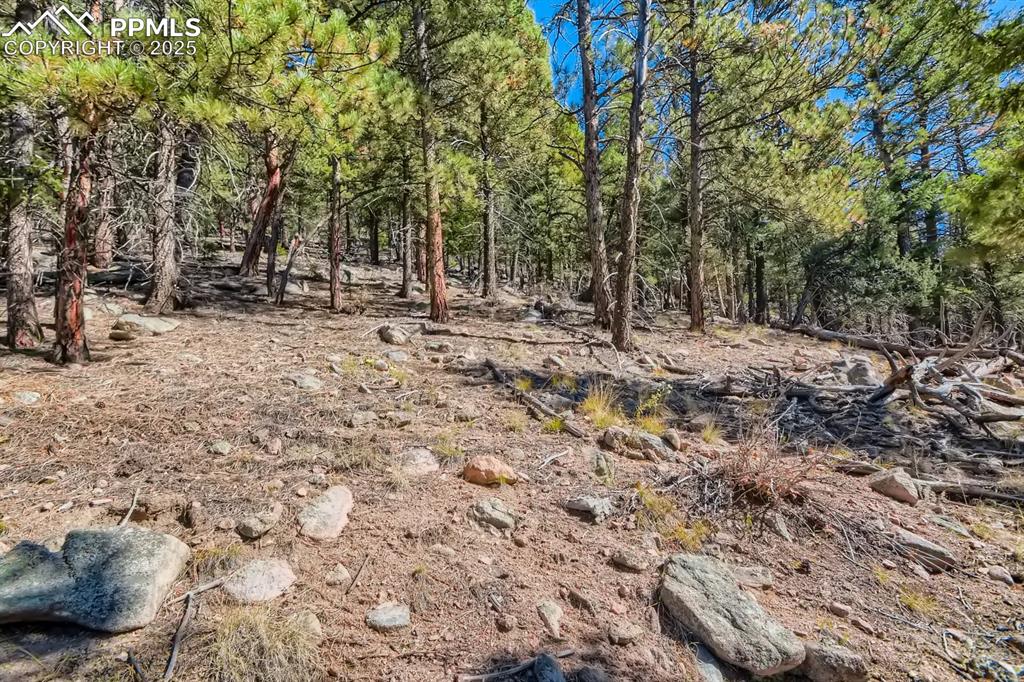 0 Elsie Road Conifer CO 80433