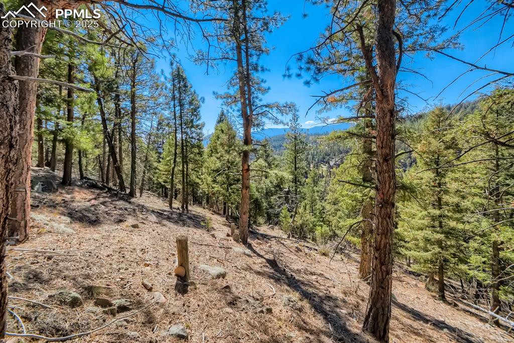 0 Elsie Road Conifer CO 80433