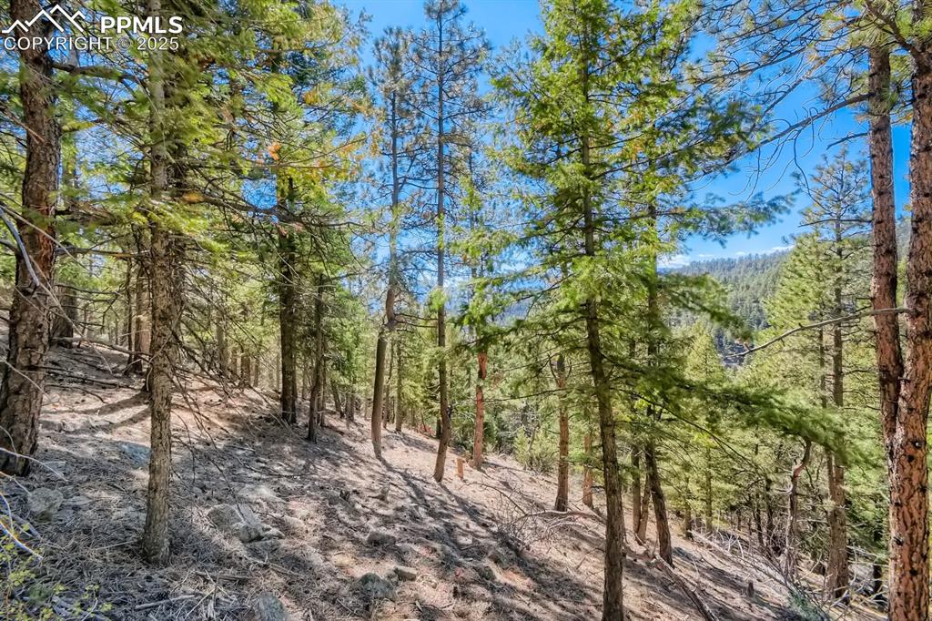 0 Elsie Road Conifer CO 80433