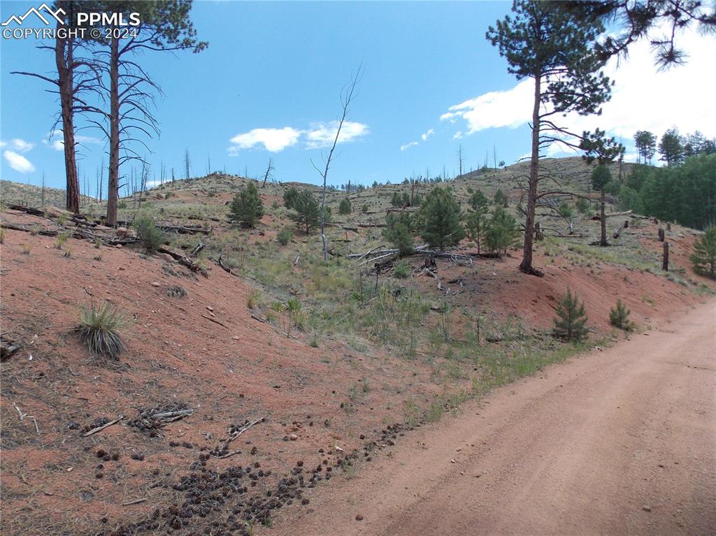 14691 Crooked Trail Road Woodland Park CO 80863