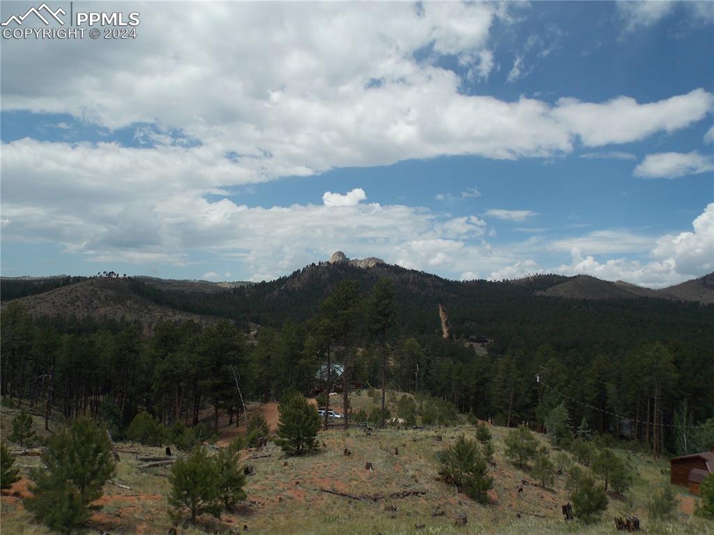 14691 Crooked Trail Road Woodland Park CO 80863