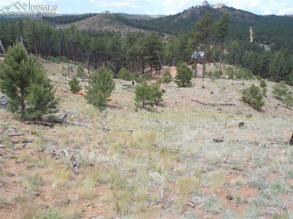 14691 Crooked Trail Road Woodland Park CO 80863