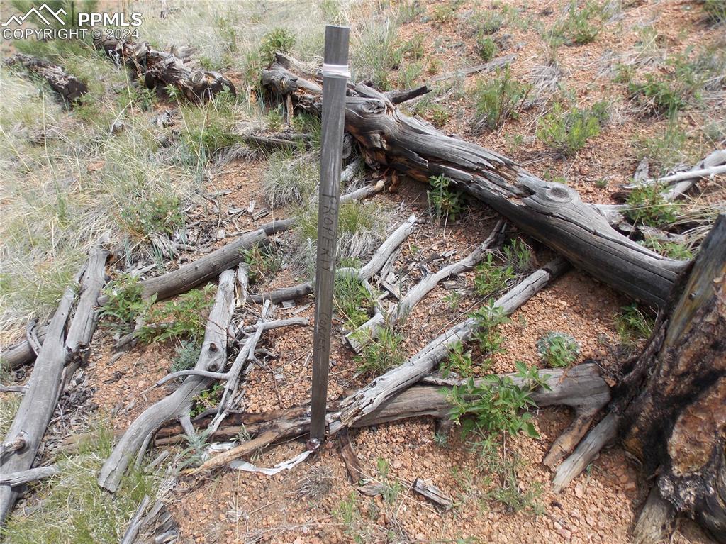 14691 Crooked Trail Road Woodland Park CO 80863
