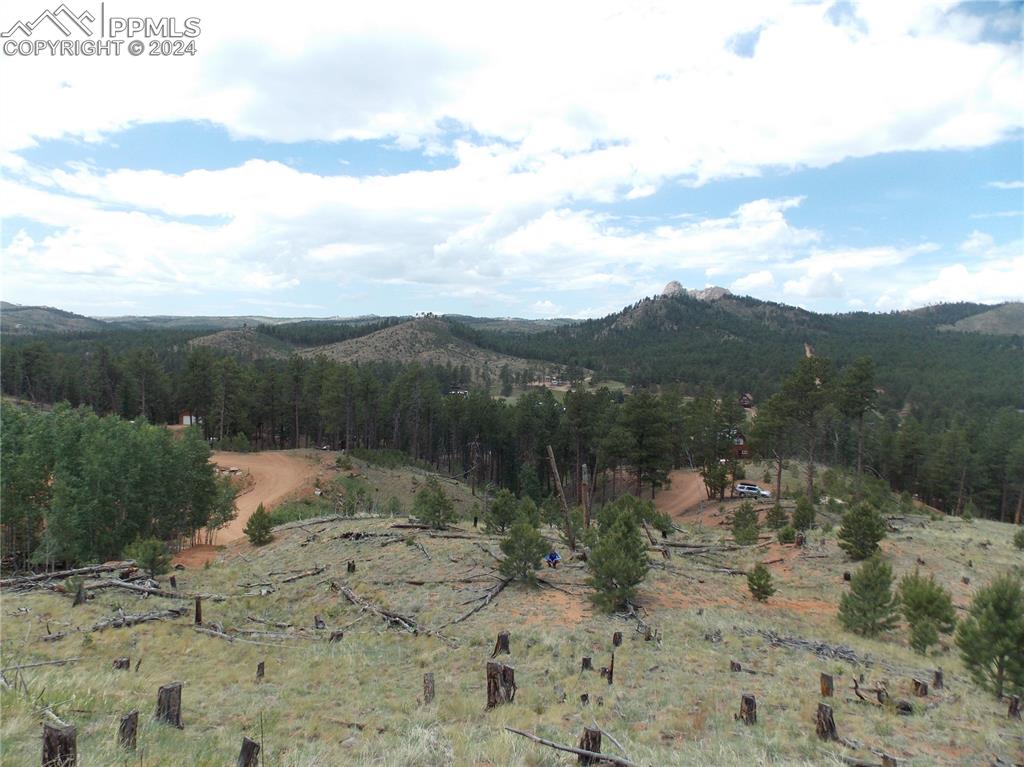 14691 Crooked Trail Road Woodland Park CO 80863