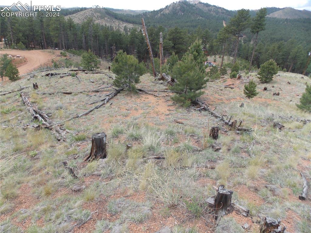 14691 Crooked Trail Road Woodland Park CO 80863