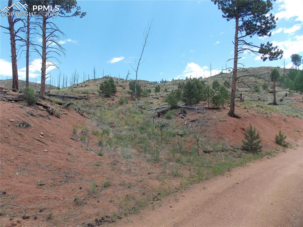 14691 Crooked Trail Road Woodland Park CO 80863