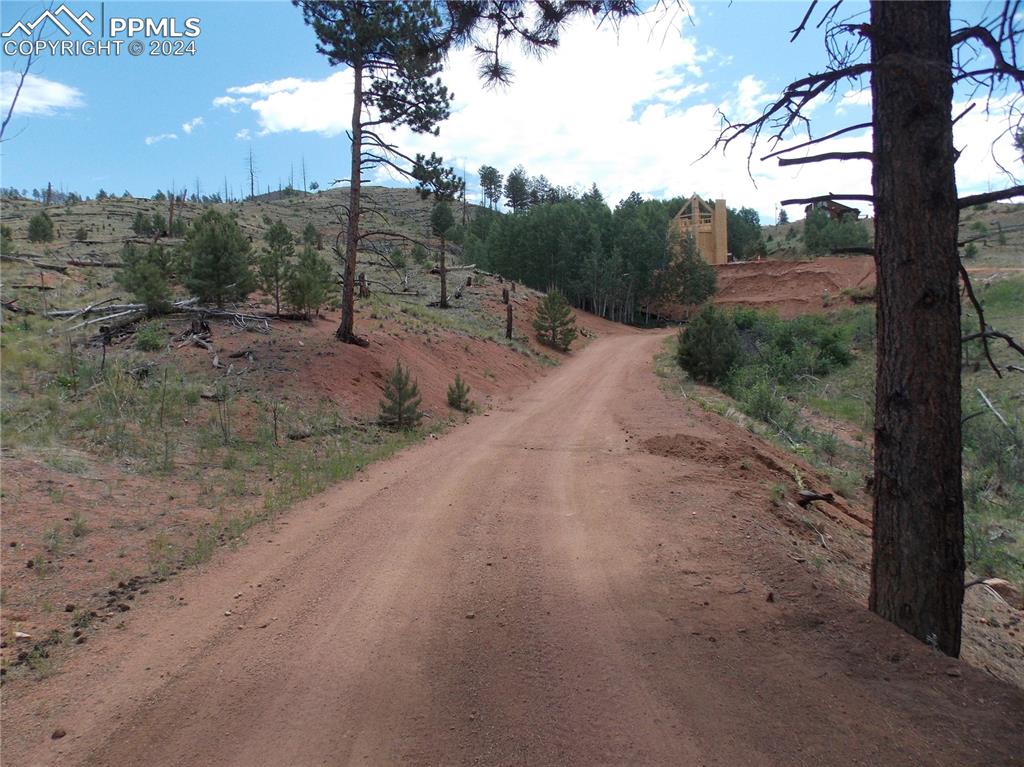 14691 Crooked Trail Road Woodland Park CO 80863