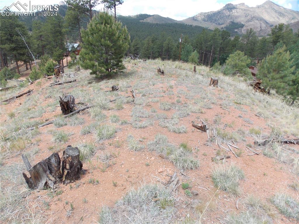 14691 Crooked Trail Road Woodland Park CO 80863