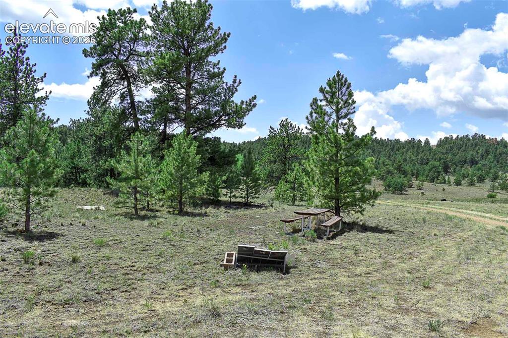 376 Copeland Road Guffey CO 80820