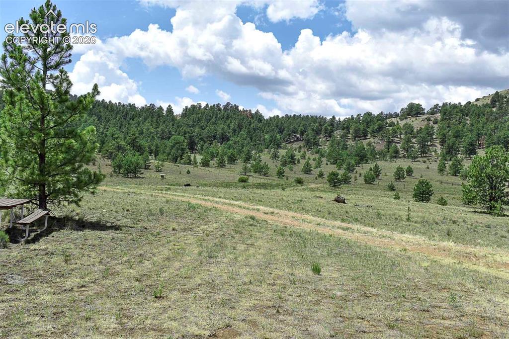 376 Copeland Road Guffey CO 80820