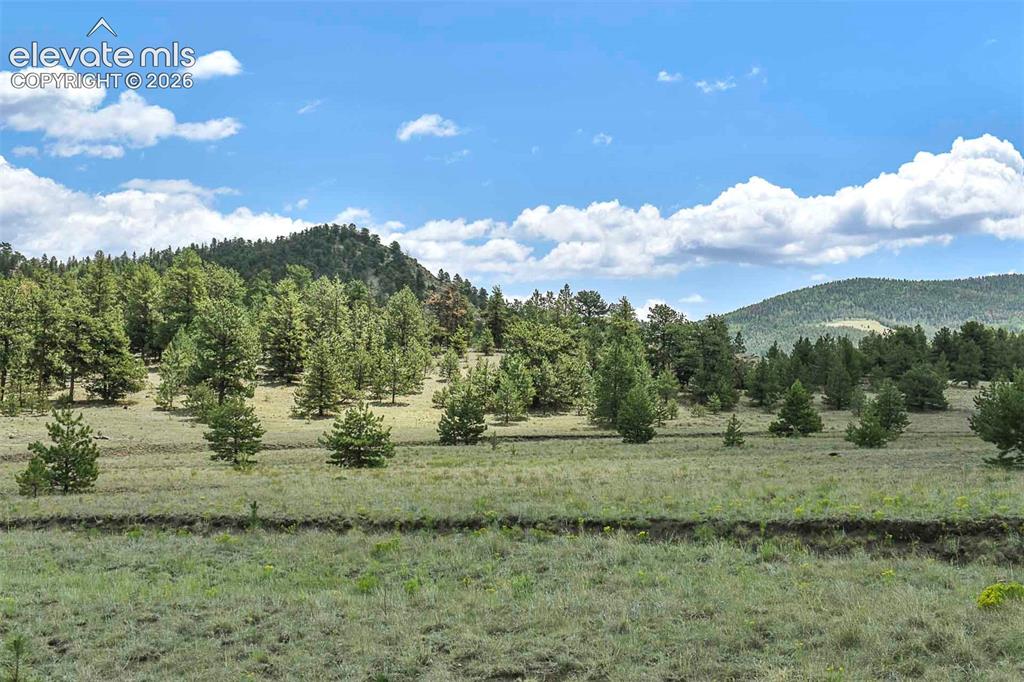 376 Copeland Road Guffey CO 80820