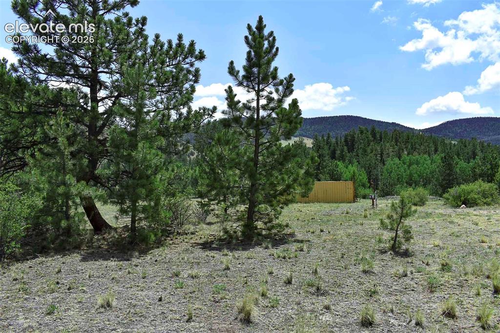 376 Copeland Road Guffey CO 80820