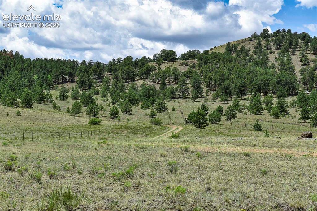 376 Copeland Road Guffey CO 80820