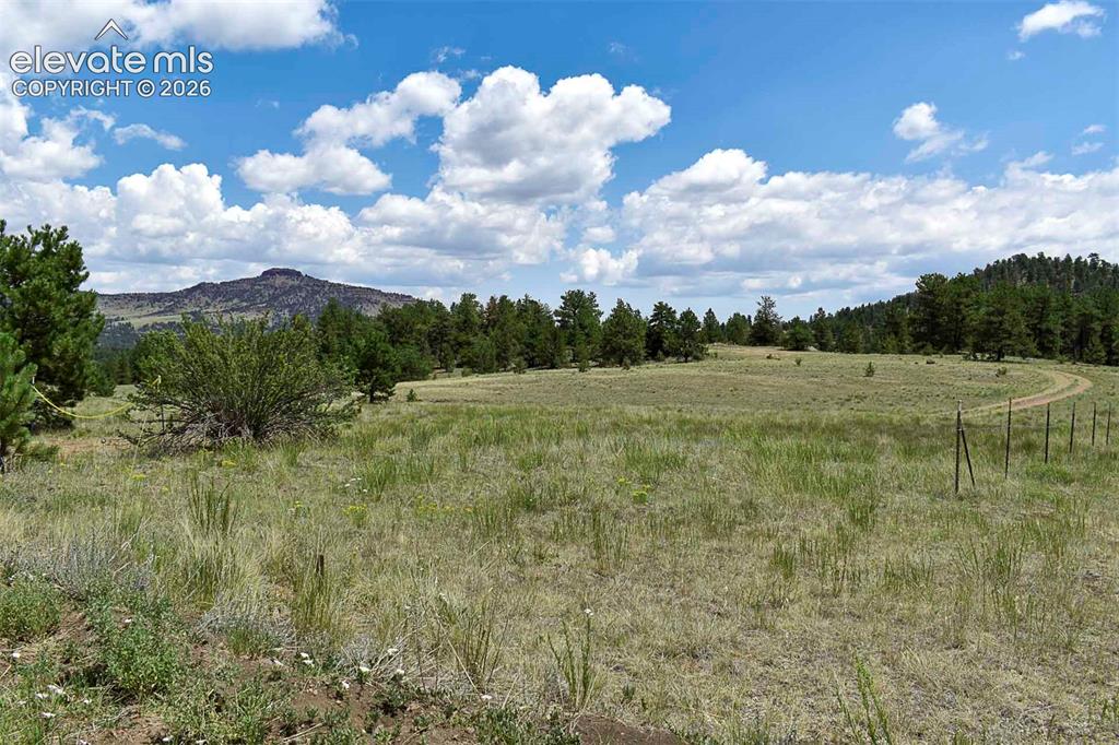 376 Copeland Road Guffey CO 80820