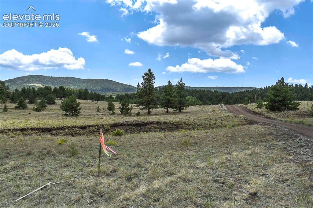 376 Copeland Road Guffey CO 80820