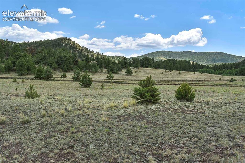 376 Copeland Road Guffey CO 80820