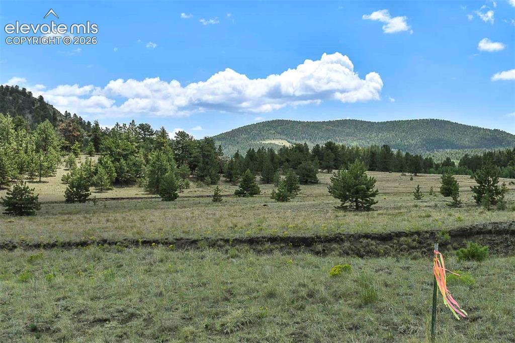 376 Copeland Road Guffey CO 80820