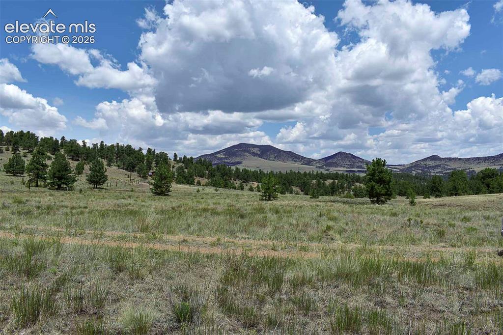 376 Copeland Road Guffey CO 80820
