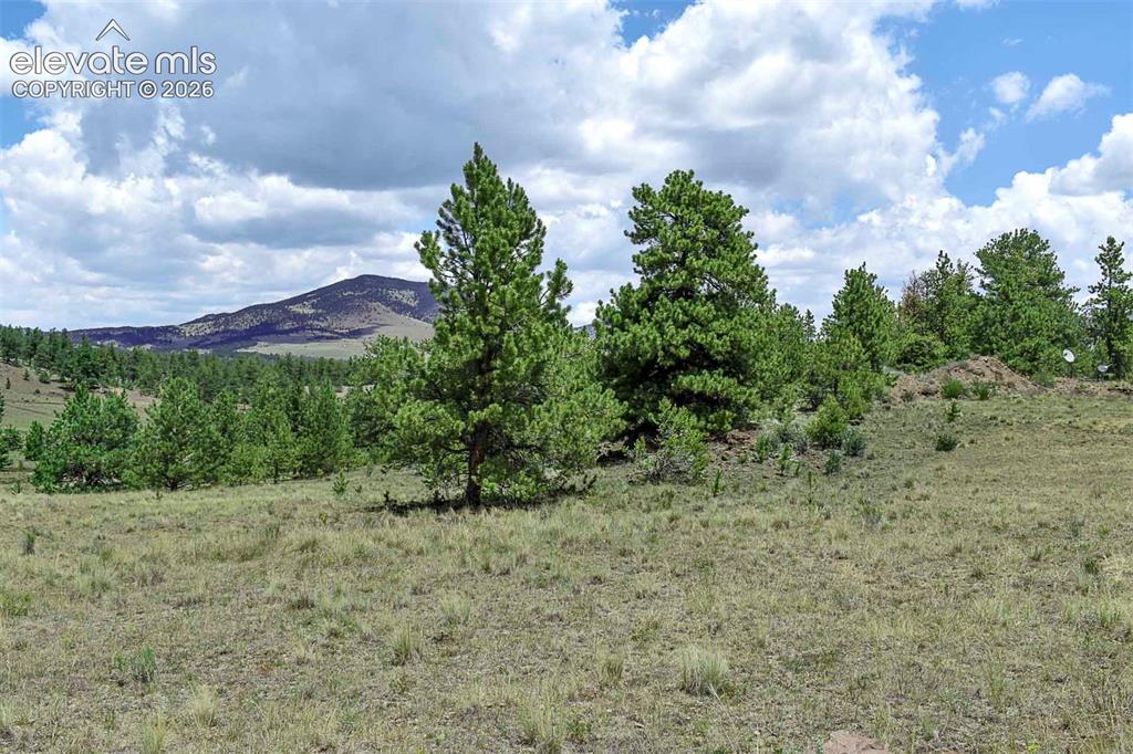 376 Copeland Road Guffey CO 80820