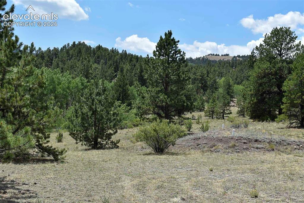 376 Copeland Road Guffey CO 80820
