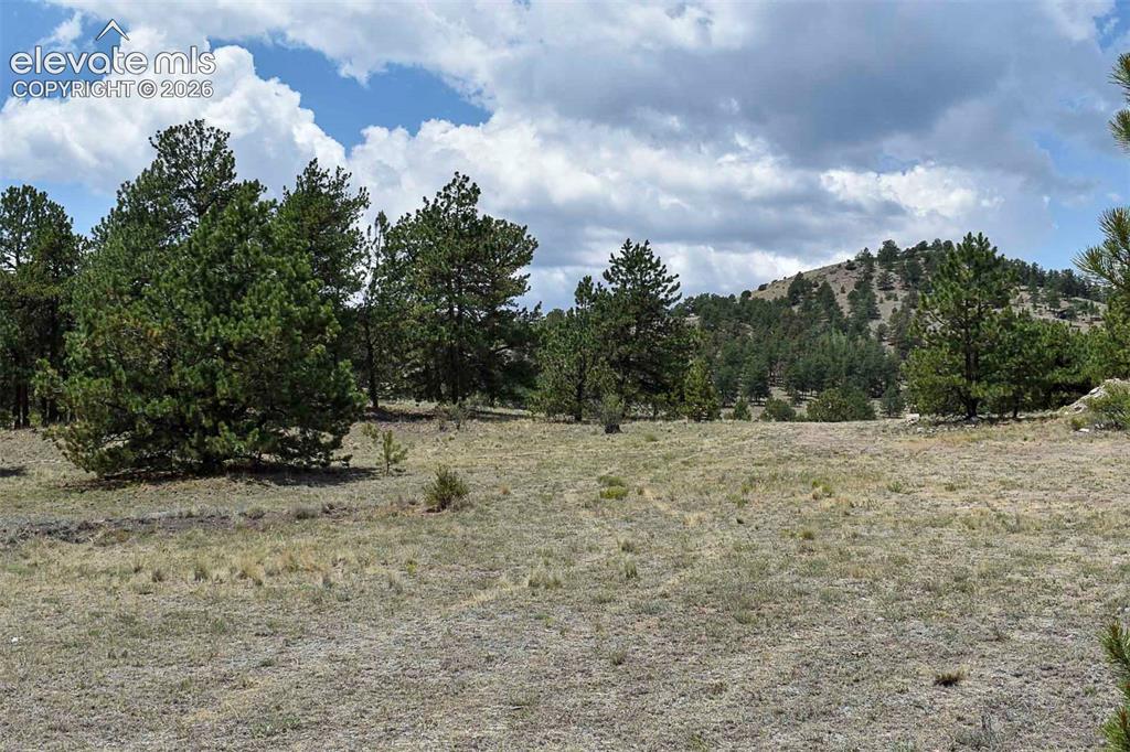 376 Copeland Road Guffey CO 80820