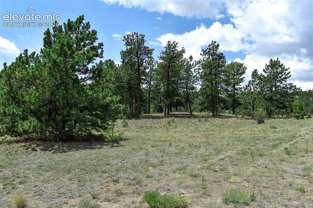 376 Copeland Road Guffey CO 80820