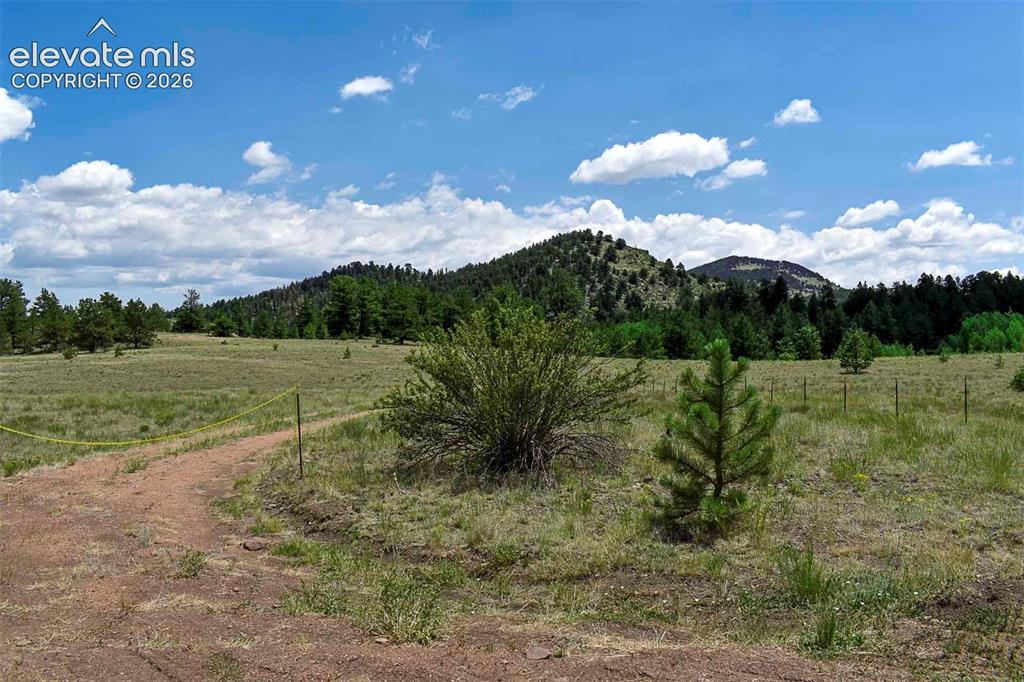 376 Copeland Road Guffey CO 80820