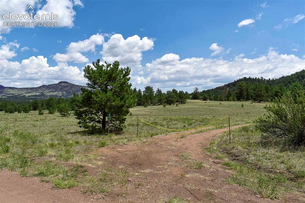376 Copeland Road Guffey CO 80820