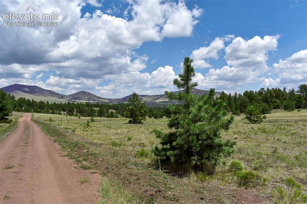 376 Copeland Road Guffey CO 80820