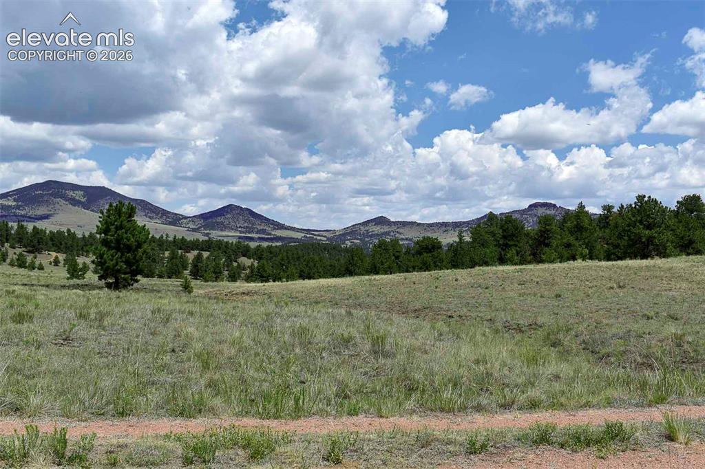 376 Copeland Road Guffey CO 80820