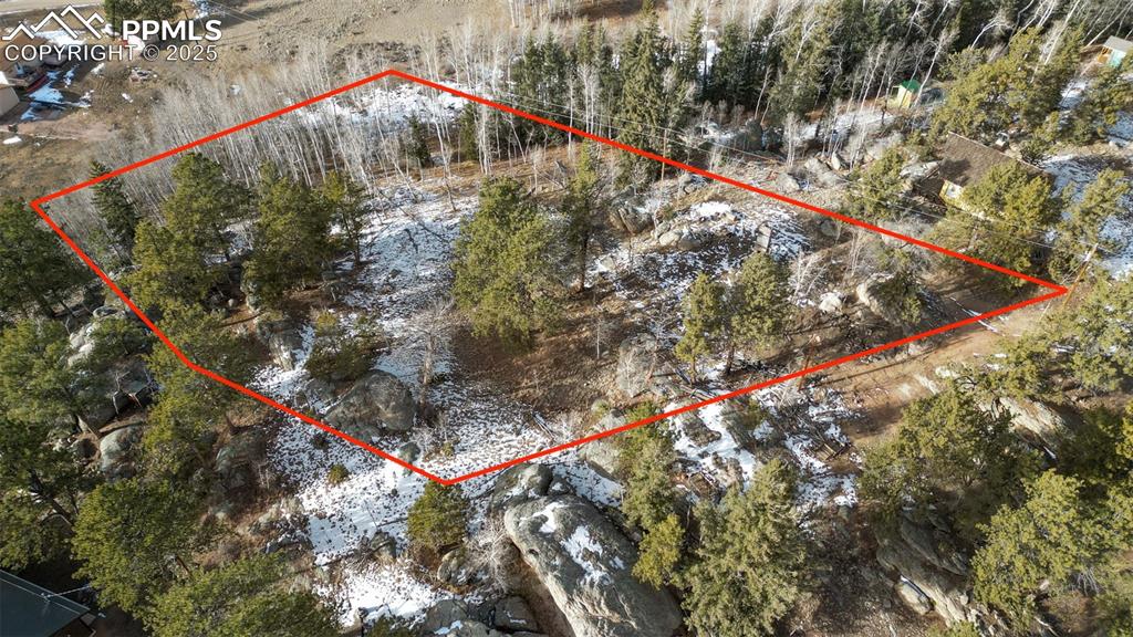 12 Tuna Drive Lake George CO 80827