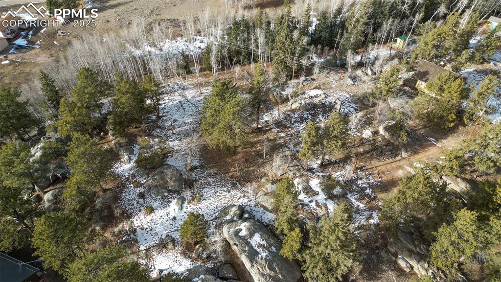12 Tuna Drive Lake George CO 80827