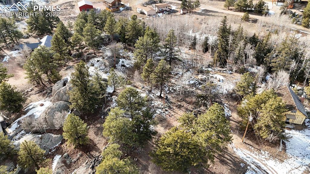 12 Tuna Drive Lake George CO 80827