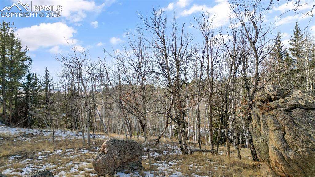 12 Tuna Drive Lake George CO 80827