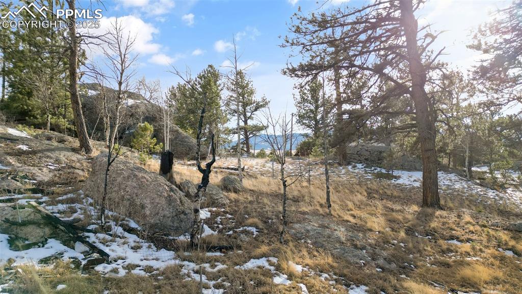 12 Tuna Drive Lake George CO 80827