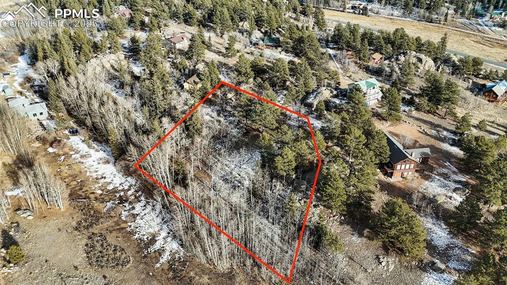 12 Tuna Drive Lake George CO 80827