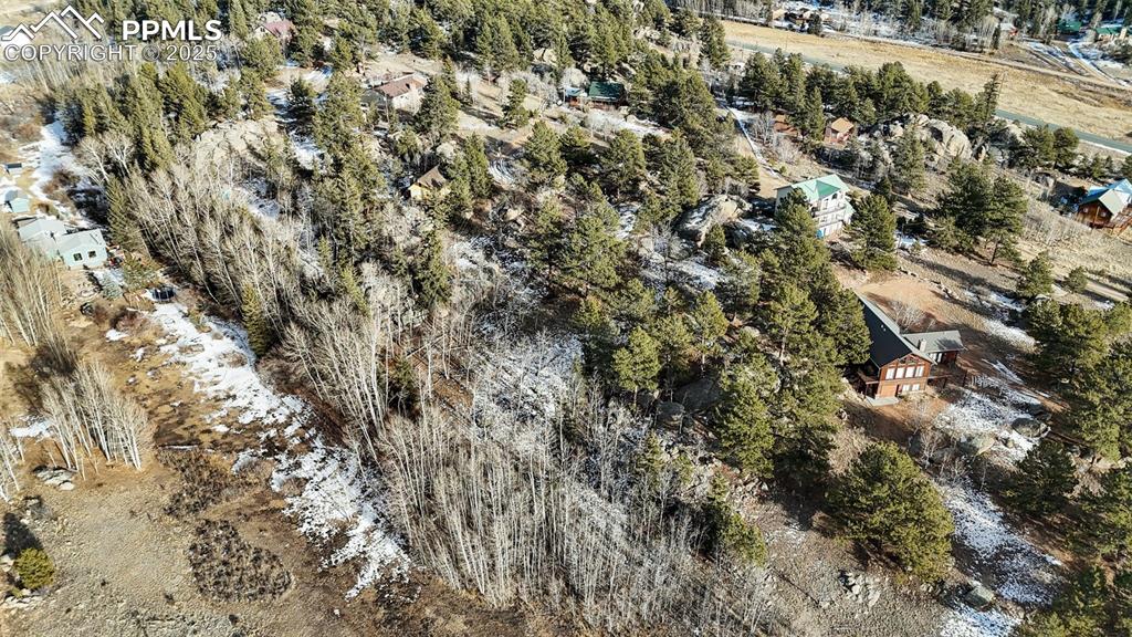 12 Tuna Drive Lake George CO 80827
