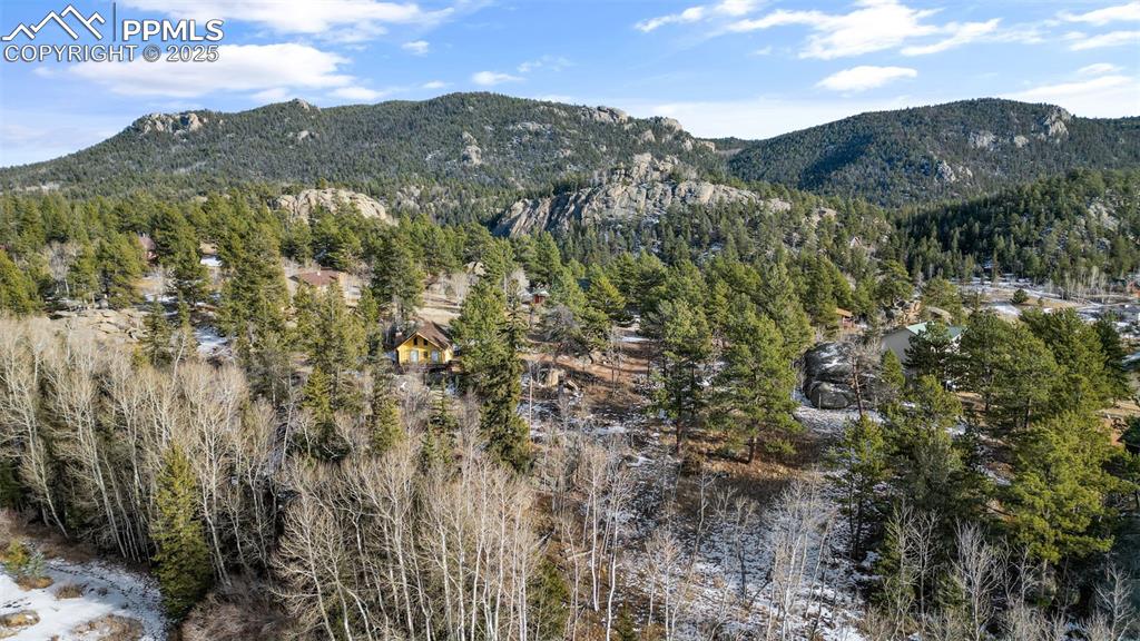 12 Tuna Drive Lake George CO 80827
