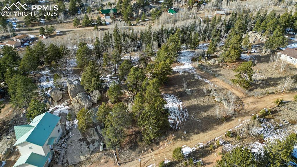12 Tuna Drive Lake George CO 80827