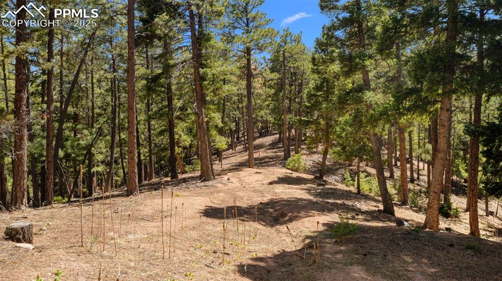 2255 Elk Park Road Larkspur CO 80118