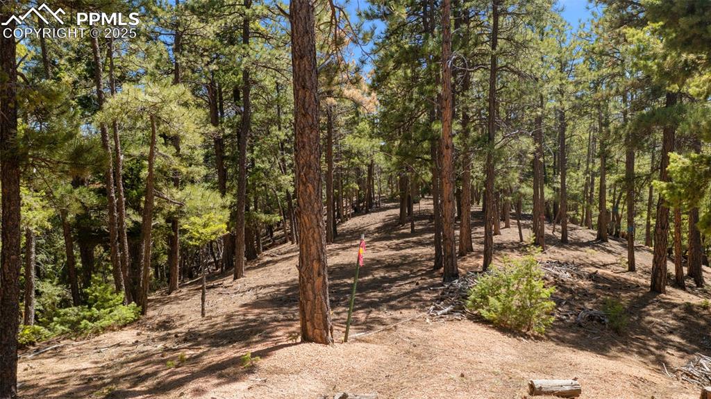 2255 Elk Park Road Larkspur CO 80118