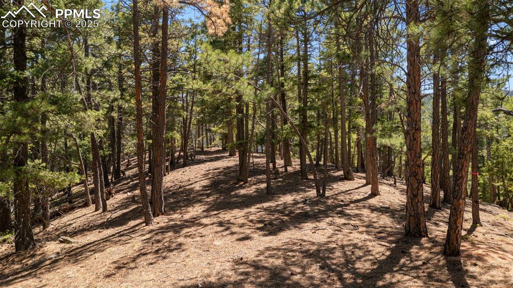 2255 Elk Park Road Larkspur CO 80118