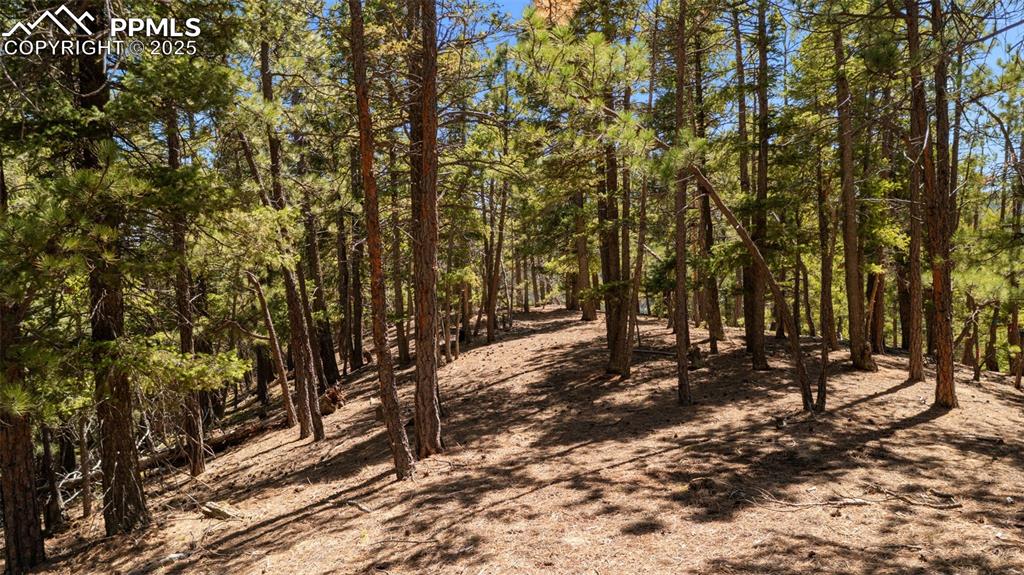 2255 Elk Park Road Larkspur CO 80118