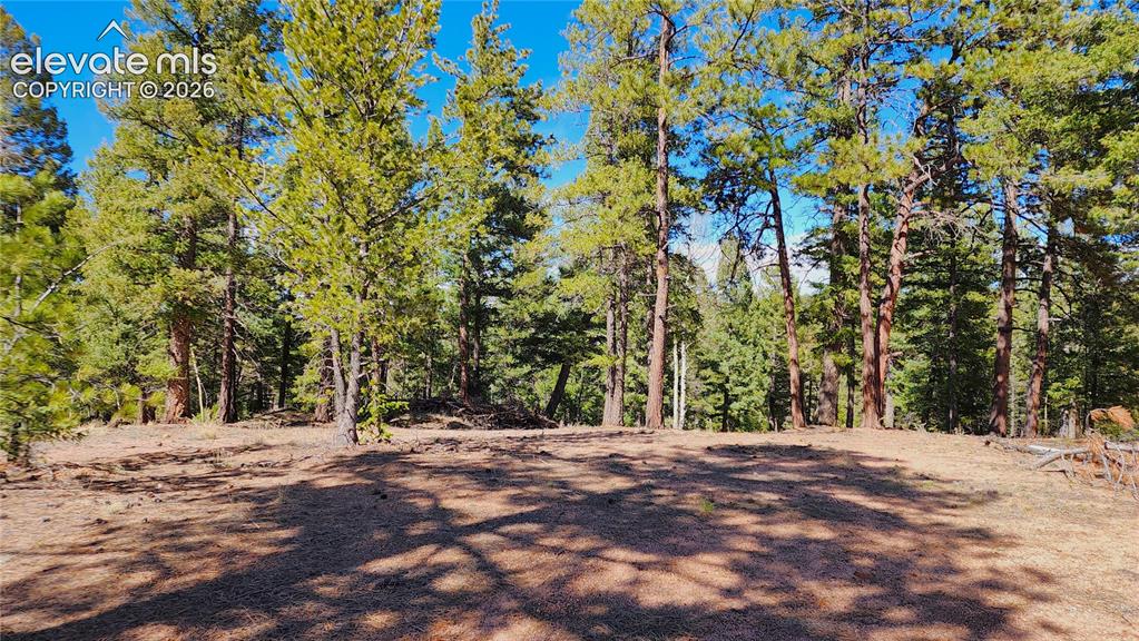 178 Gerka Lane Florissant CO 80816