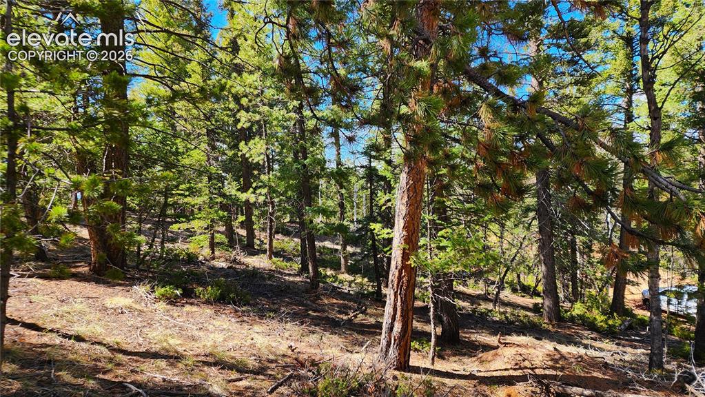 178 Gerka Lane Florissant CO 80816