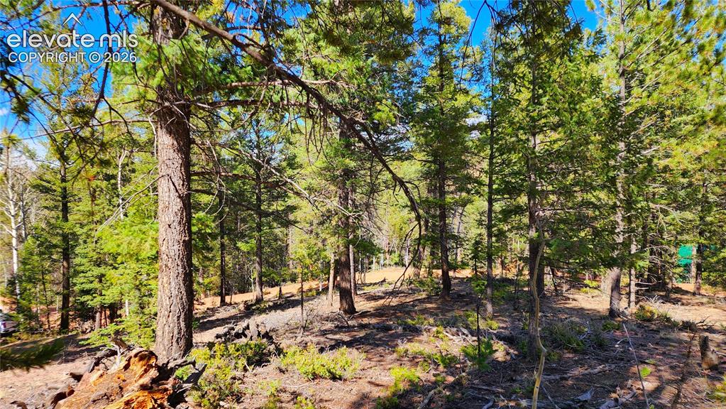 178 Gerka Lane Florissant CO 80816