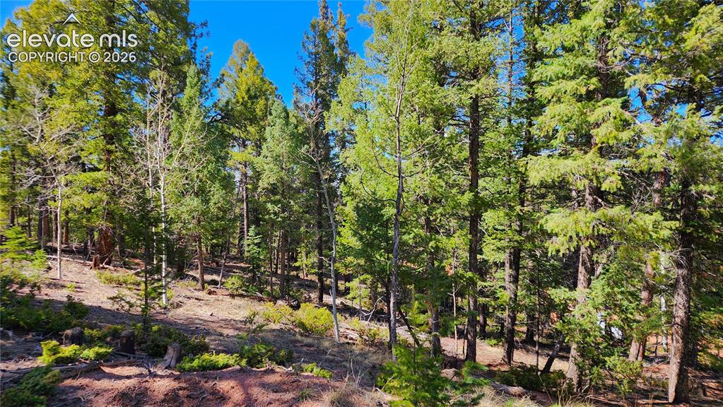 178 Gerka Lane Florissant CO 80816